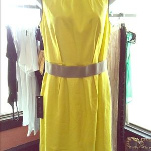 Ann Taylor Summer Dress